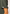 ARDEA Core Top